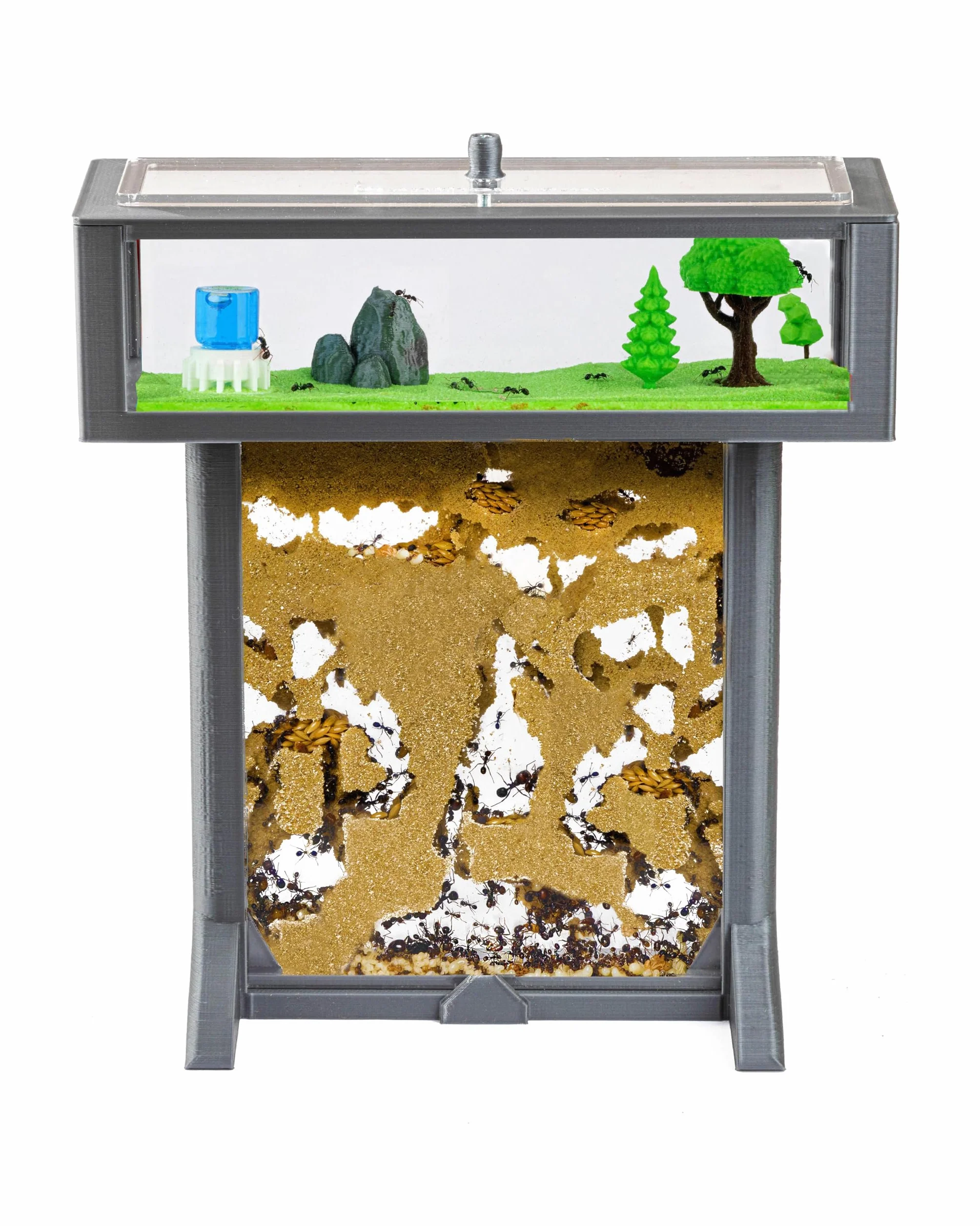 AntHouse - Natürliche Ameisenfarm aus Sand | 3D T Kit 15x15x1,5cm Grau| Inklusive Ameisen