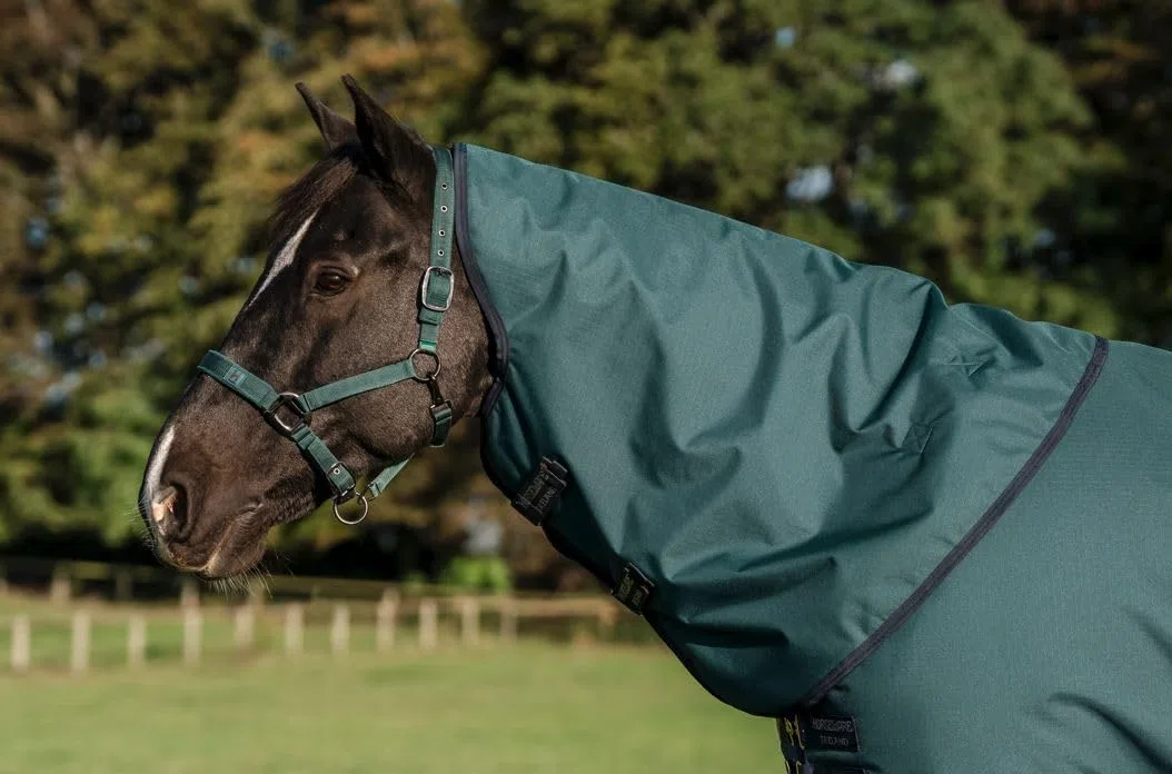 Horseware Amigo Ripstop 900D Lite 0g Turnout Decke Dynasty Green/Navy & Silver