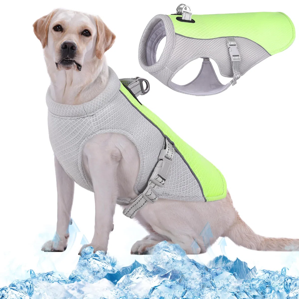 Kuoser Kühlweste für Hunde, Hundekühlungsmantel für heiße Sommertage, Atmungsaktive & Reflektierende Sicherheitsweste für Klein Mittel Hunde, Kühljacke für Aktivitäten Draußen Wandern Training
