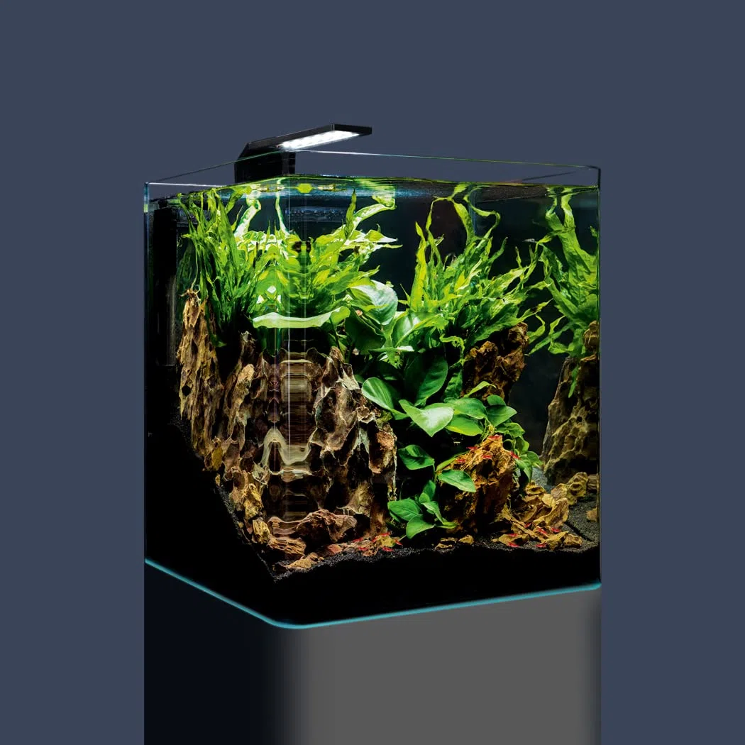 Dennerle Nano Cube Complete, 30 Liter - 30 x 30 x 35 - Mini Aquarium Komplettset