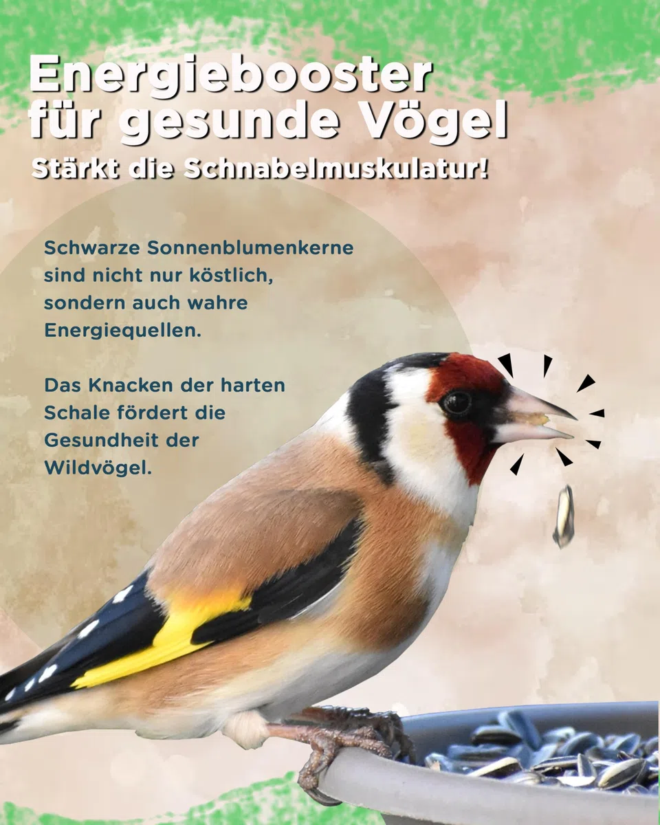 Futterbauer 25 kg Schwarze Sonnenblumenkerne im Papiersack für Vögel, 100% Natur, Hochwertige Energiequelle für Wildvögel, Hoher Fett- & Vitamin-E-Gehalt, Gereinigt & Getrocknet mit Schale, Ernte 2025