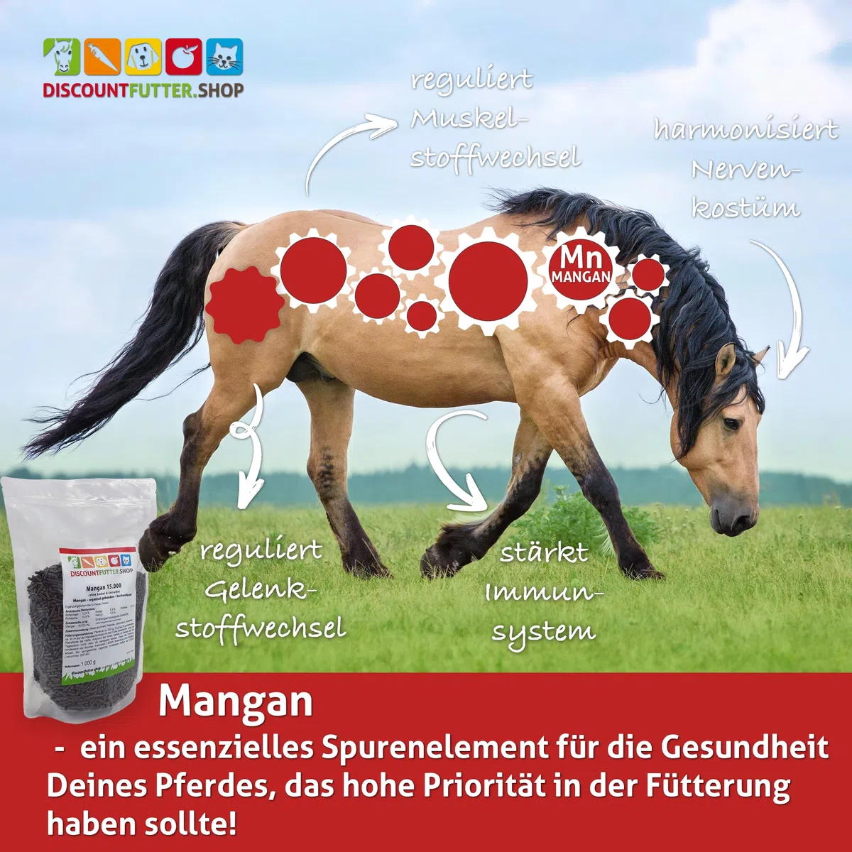 Mangan 15.000 Pellets für Pferde, organisch gebunden, 5 kg | Bei Manganmangel, glutenfrei, getreidefrei & ohne Zuckerzusatz