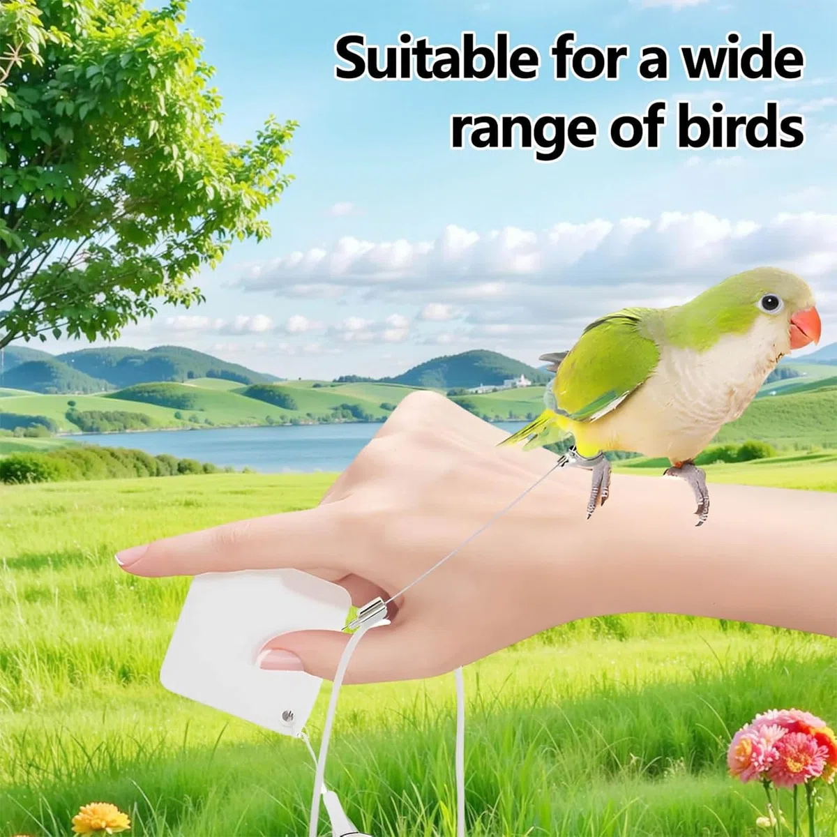 Ergonomischer Vogeltransport Rucksack für kleine Aras mit belüftetem Plan, Abnehmbarer Futterschale, Oben, belüfteter Vogel Rucksack