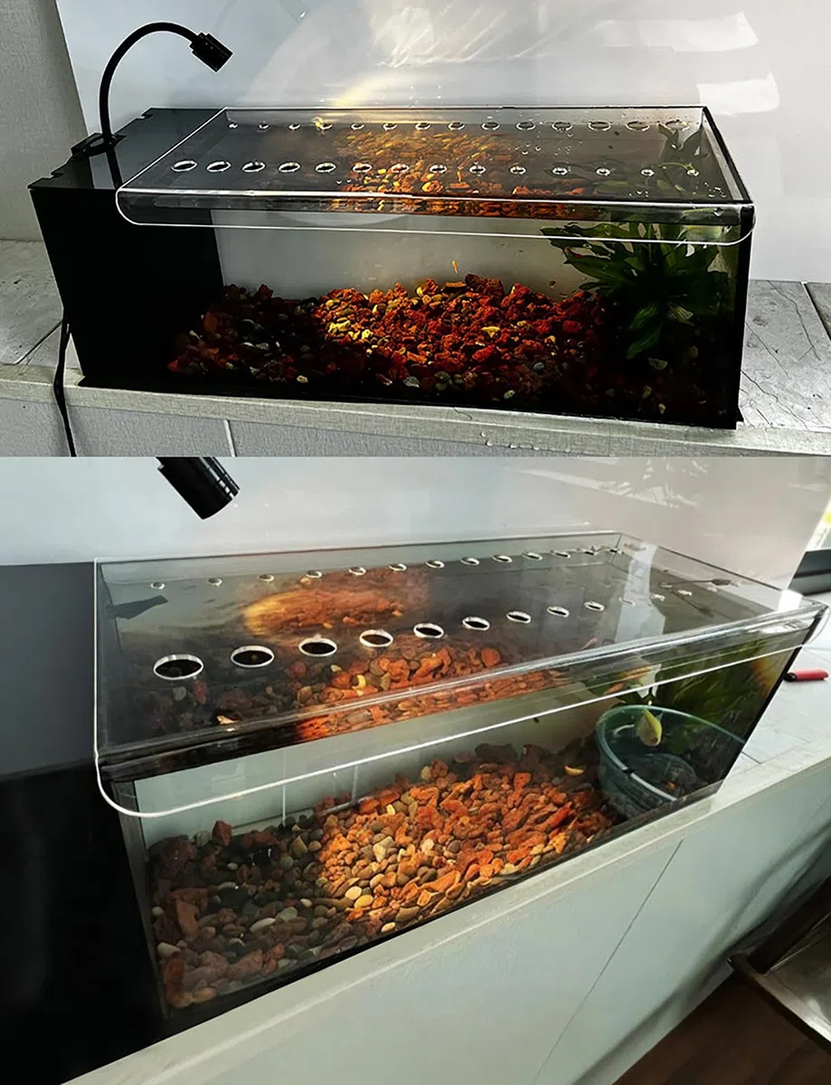 DIY Acryl-Aquarium-Schiebedeckel – Push-Pull-Aquariumabdeckung, katzenkratzfestes und spritzwassergeschütztes Design(40x20cm/15.7x7.8in)