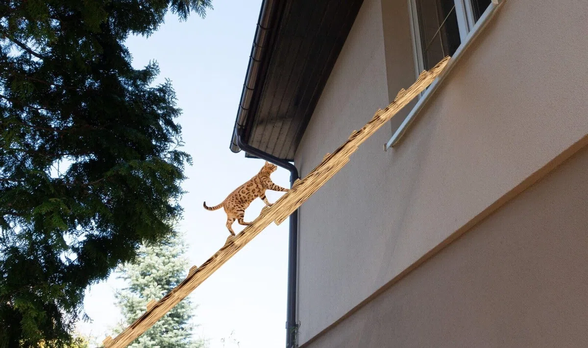 Katzenleiter Katzentreppe Geflammt Katzenstufe für Balkon 4m ohne Befestigung