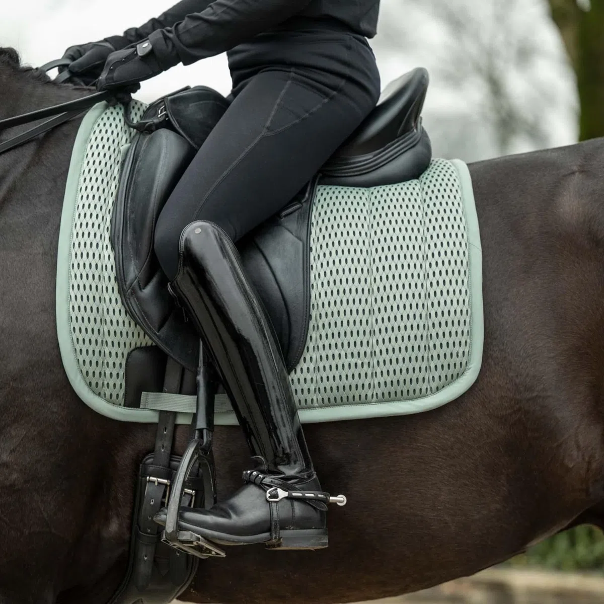 HKM Sportive Schabracke, Mint, Dressur