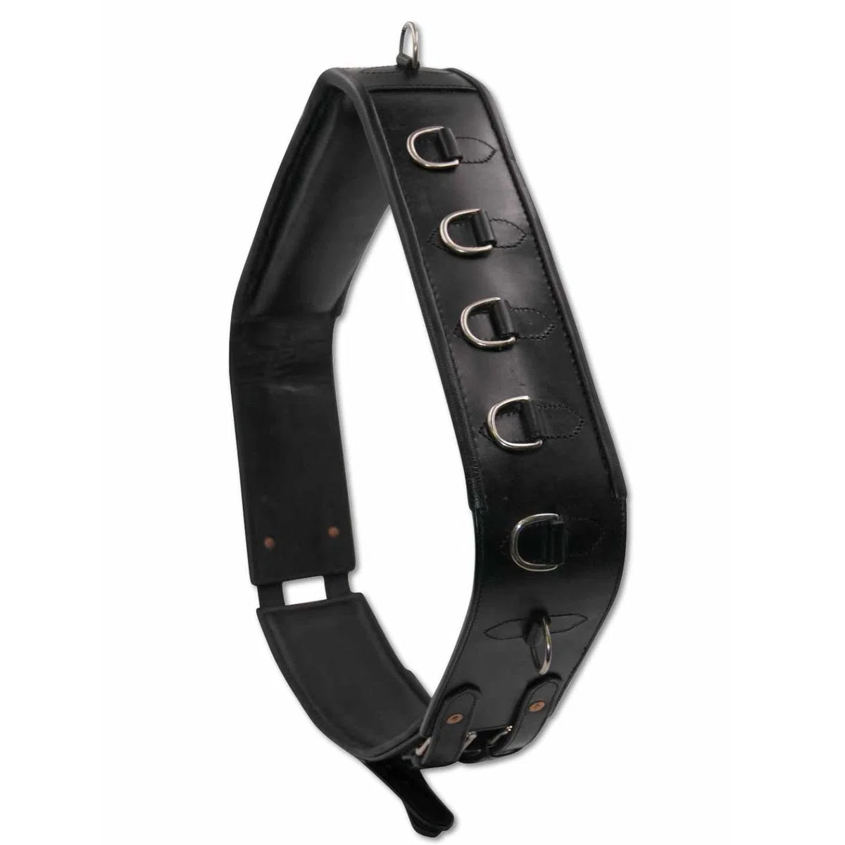 AMKA Pro Longiergurt aus Leder mit 13 Ringen auch für Doppellonge Arbeit geeignet Warmblut