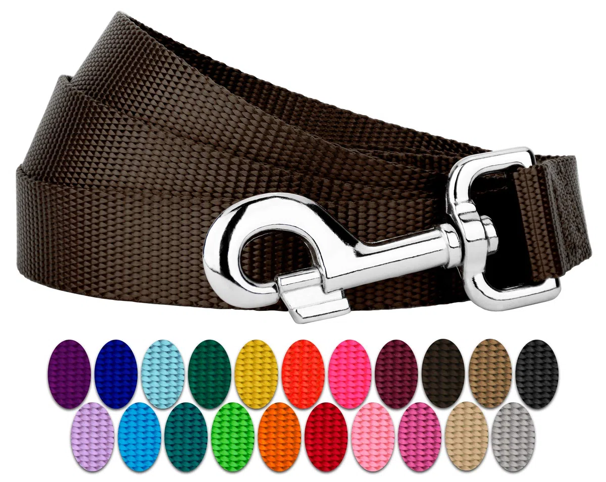 Country Brook Petz Hundeleine, Nylon, robust, langlebig, traditioneller Stil mit einfach zu bedienendem Schnappverschluss, in 25 Farben erhältlich (2,5 cm breit, 1,2 m, braun)