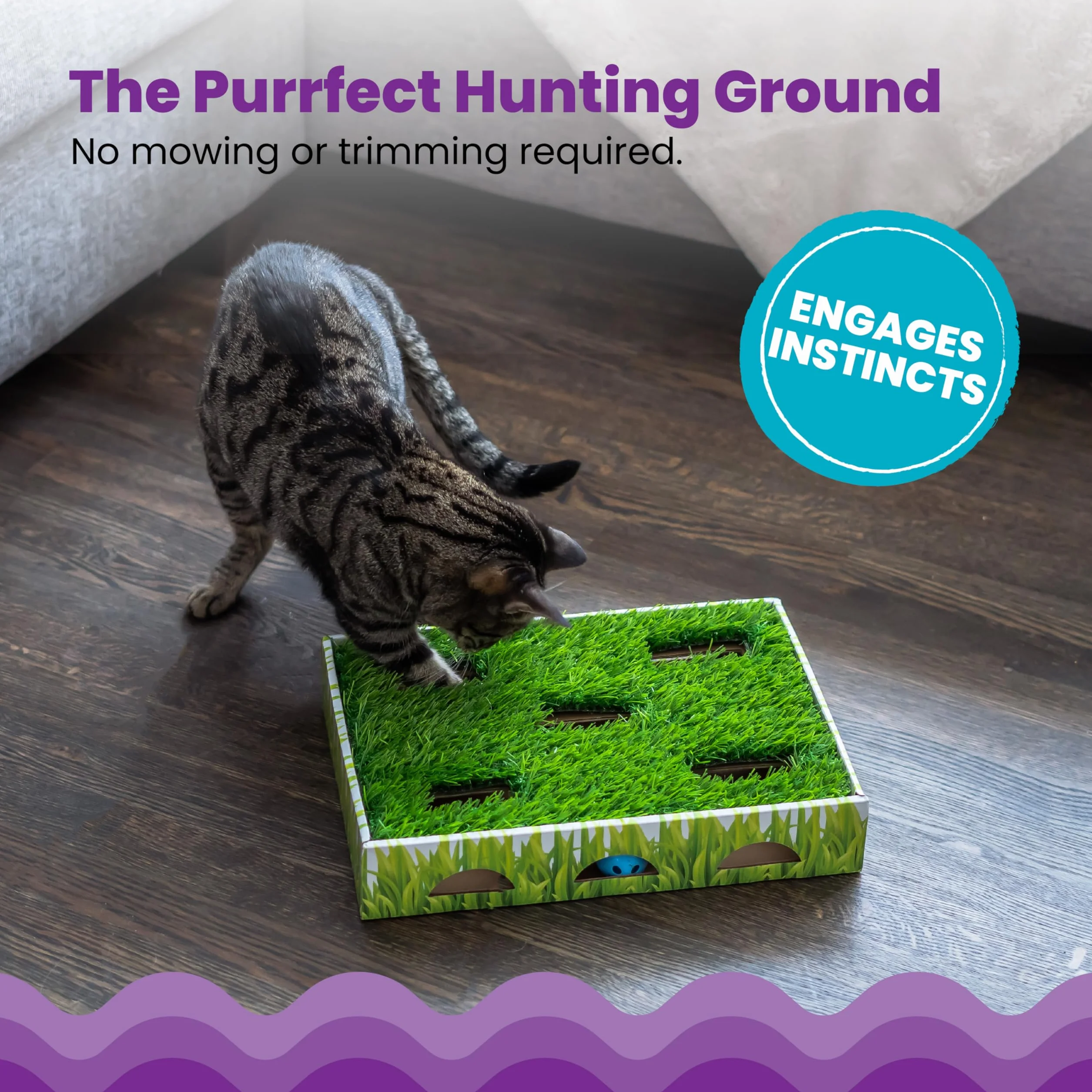 Catstages Gras Patch Jagdbox Katzenspielzeug