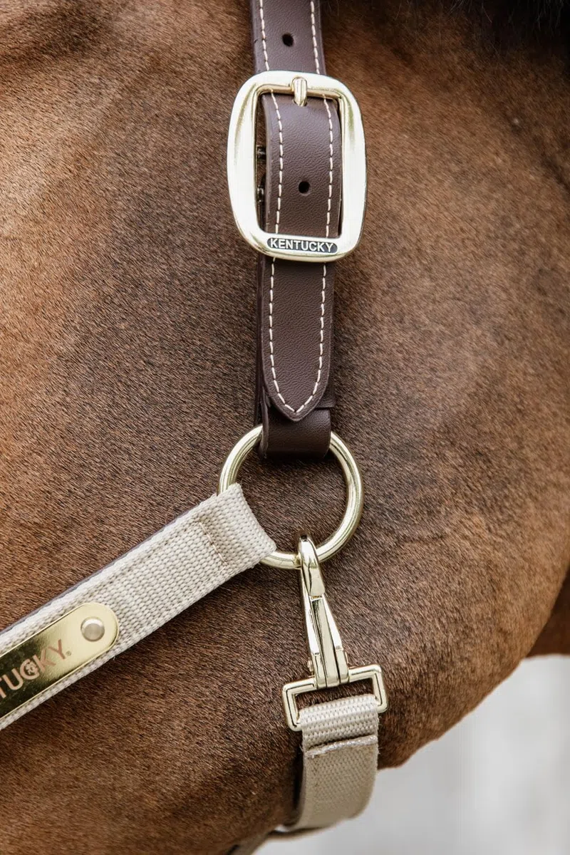 Kentucky - Anatomisches Halfter - Beige - Nylon - Größe Cob