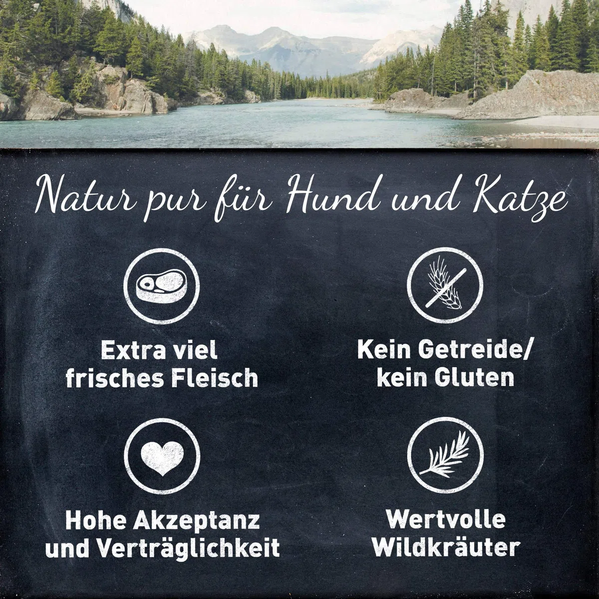 WILDES LAND – Rind | Trockenfutter mit extra hohem Fleischanteil und natürlichen Zutaten für ausgewachsene Hunde. Alleinfutter ohne Zusatzstoffe im Beutel | 24kg Rind