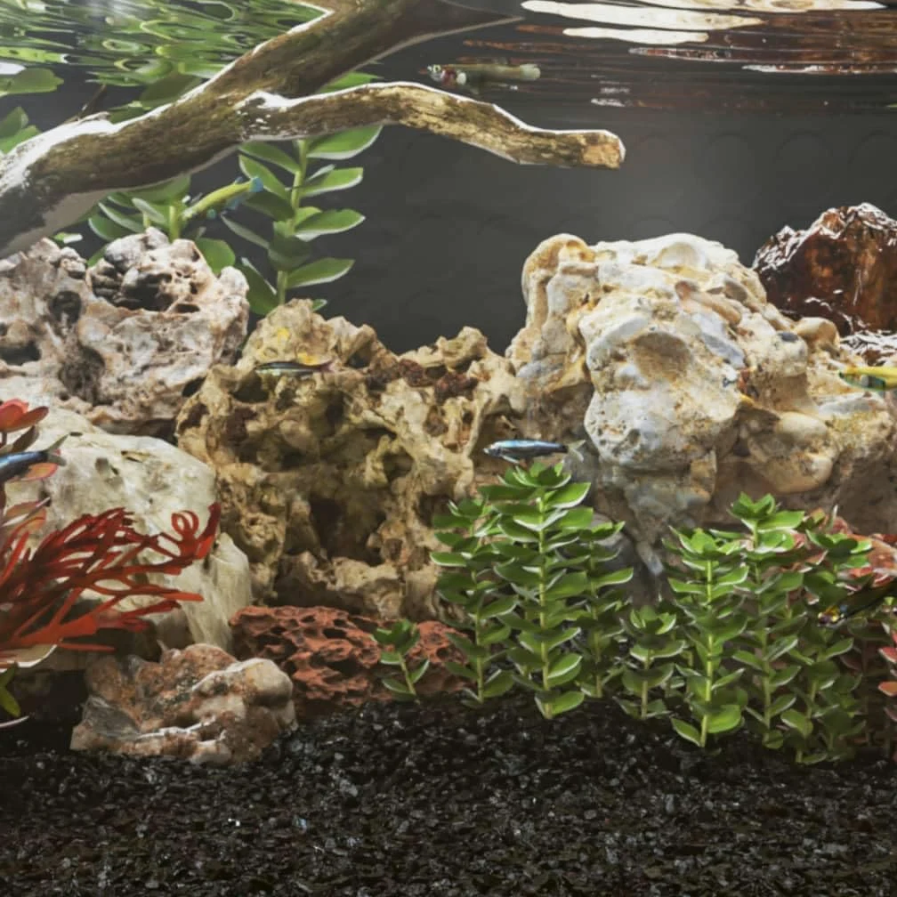 Drachensteine 25 kg Mehrfarbig 10-30 cm | Naturbelassen, Wasserneutral, Mit Löchern Und Höhlen, Für Aquarium, Terrarium, Bonsai