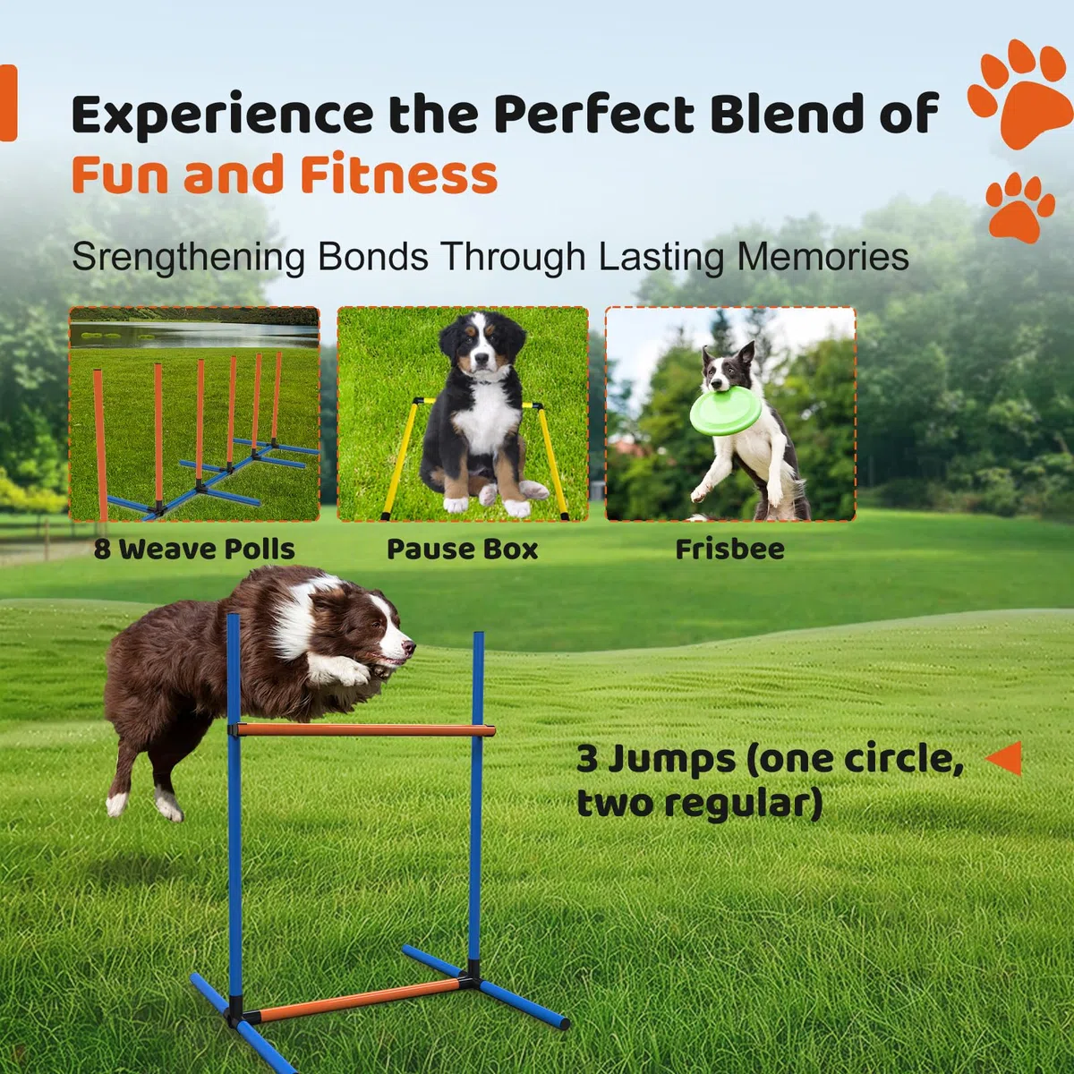 4 Sets Haustiere Agility Trainingsgeräte Hindernis-Trainingskurs Kit Verstellbarer Hundereifen Hundesprung Weben und Blindstangen und Pause Box für Hund Hindernislauf Outdoor Spiel