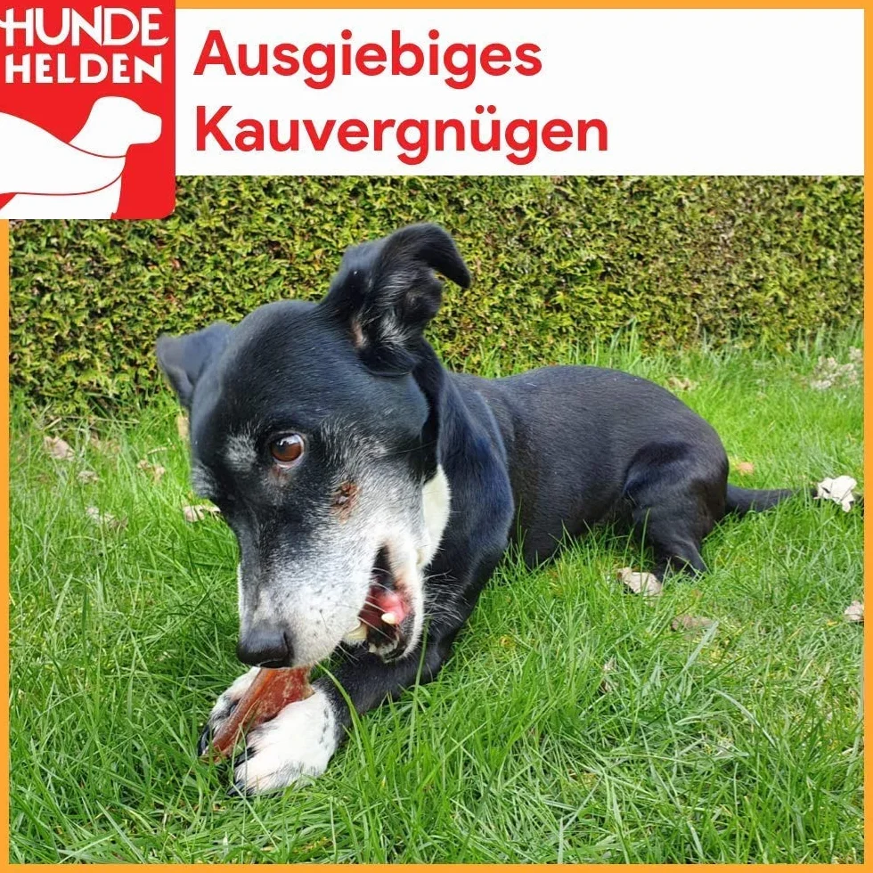 BREERs Getrocknete Rindernackensehnen für Hunde 10 Kg aus eigener Deutscher Herstellung, Kauartikel für Groß & Klein