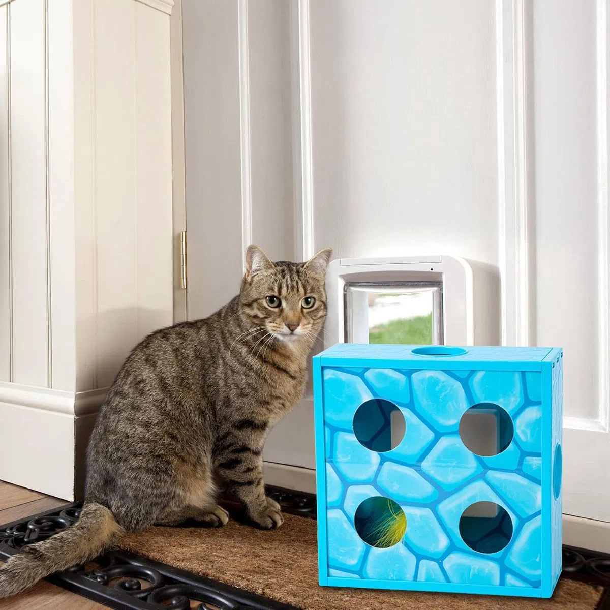 Katzenspielzeug, Interaktives Katzen-Puzzlespielzeug | for den Innen-Selbstspiel-Langeweile-Geburtstag im Freien-Wohnzimmer-Park(Blue)
