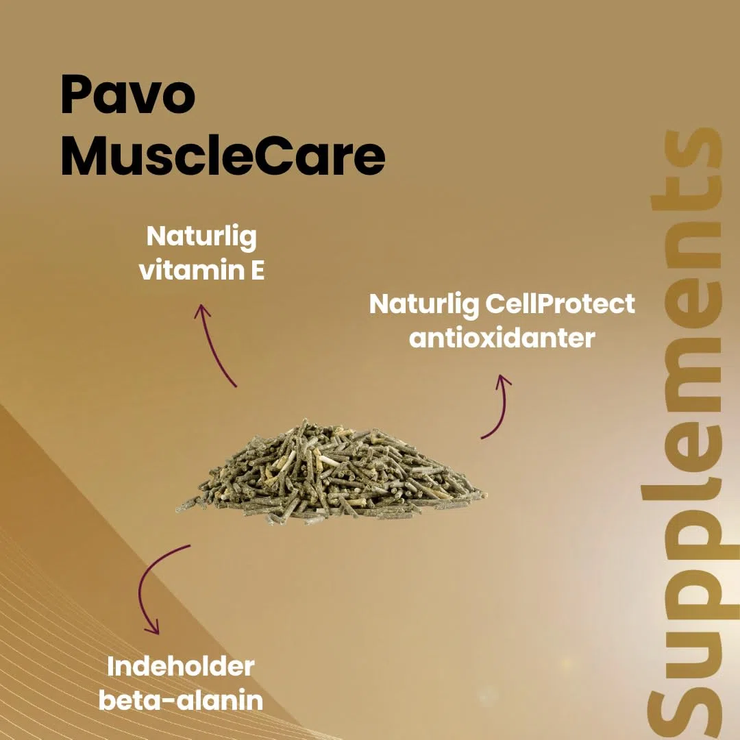 Pavo MuscleCare 3KG - Premium Muskelpflege für Pferde - Unterstützt Muskelregeneration & Reduziert Steifheit - Sportfutter, Pferdefutter
