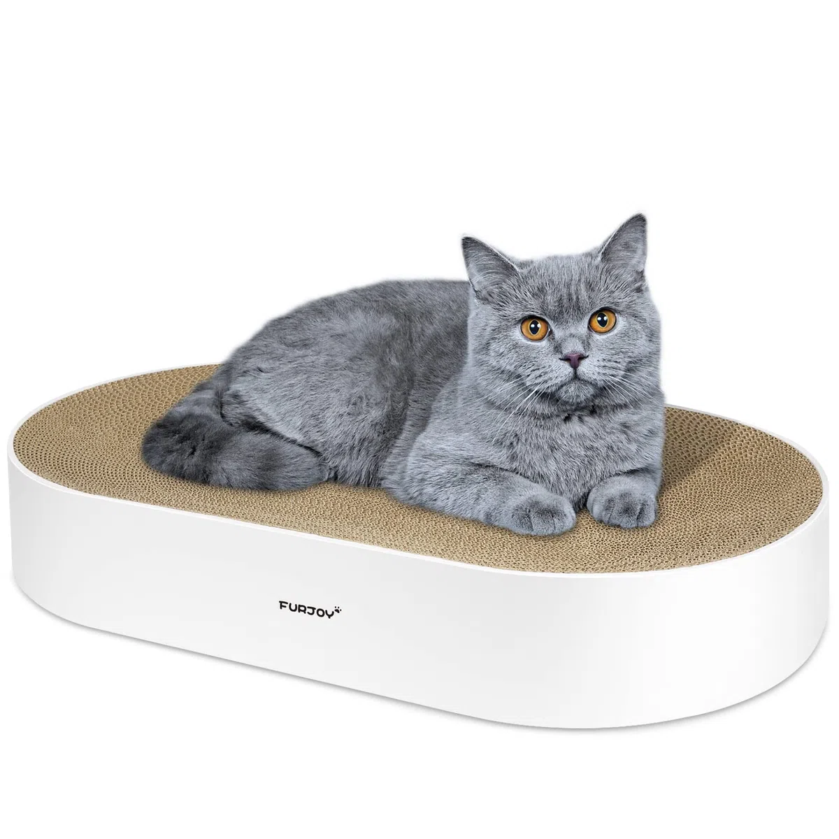 Kratzbaum für Katzen, 63 x 35 x 10 cm, oval, Wellpappe, rundes Kratz-Lounge-Bett, Sofa, Katzen-Kratzschale mit Bio-Katzenminze [Home Clean Design mit Kratzbox]