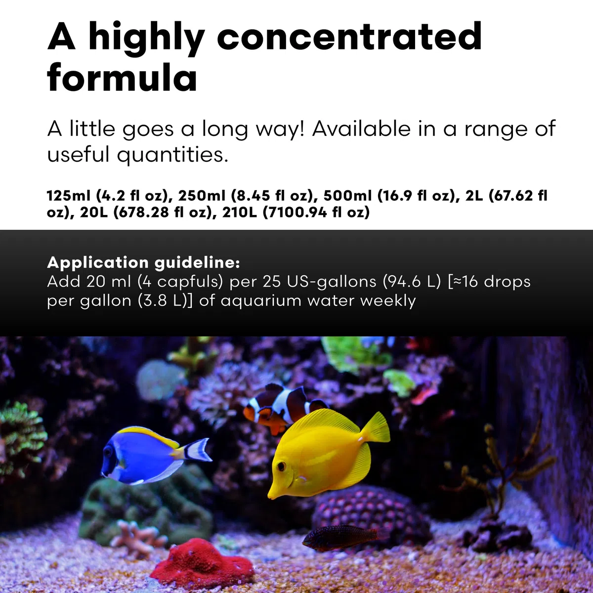 Brightwell Aquatics MicroBacter Clean Marine Aquarium-Reinigungshilfe, 20 l