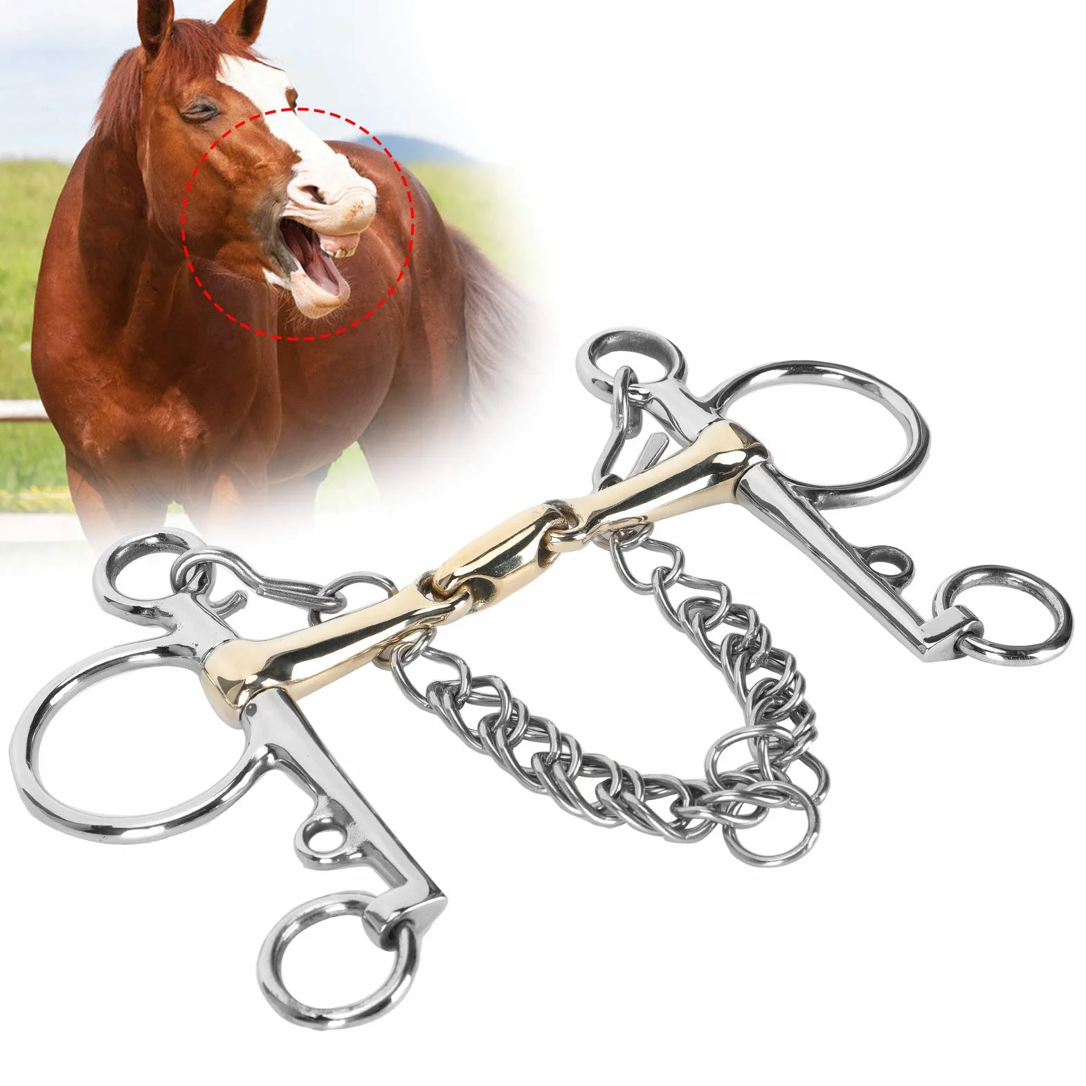 Pelham, Edelstahl Pelham Gelenkmund Pelham Bit Horse Bit Edelstahl Pelham Horse Bit Zubehör