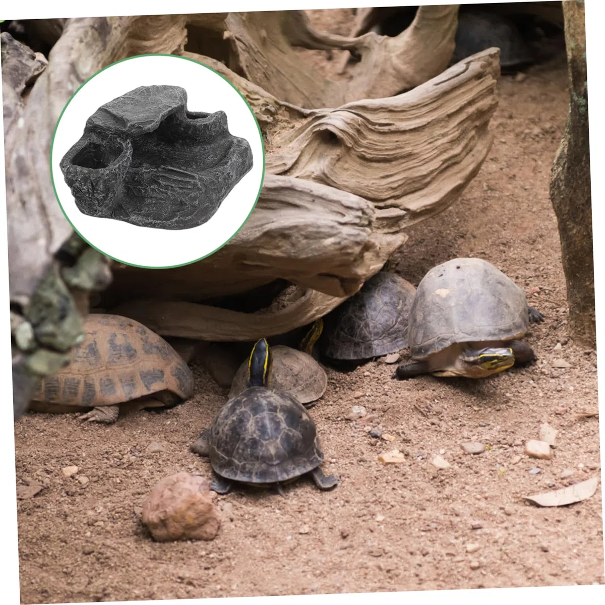 Sonnensimuliert Für Schildkröten Terrariumplattform Kletterrampe Dekorationen Aquariumzubehör Leicht Montierbar Robuste Struktur Für Kleine Reptilien