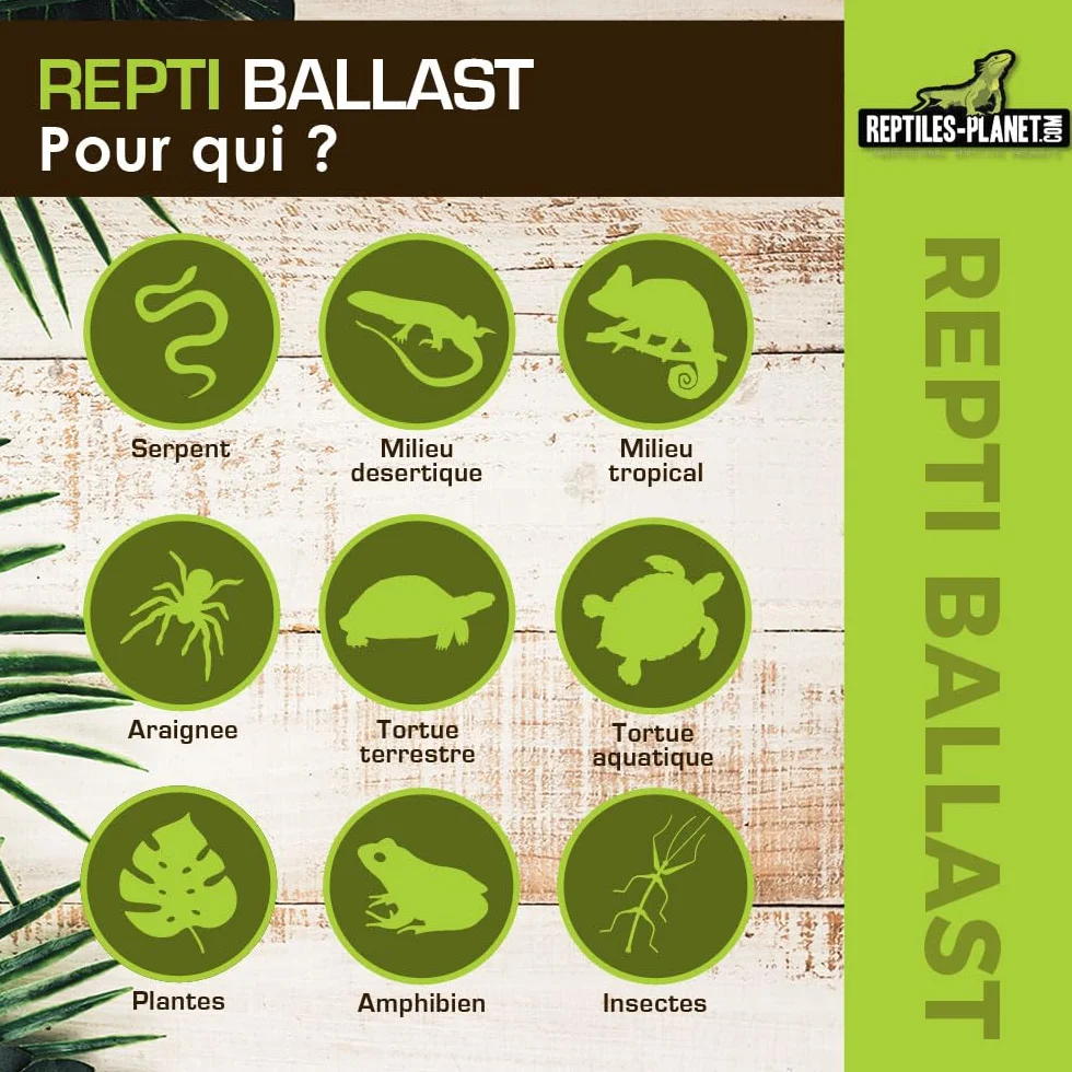 Reptiles Planet Beleuchtung Repti Ballast T5, 39 W