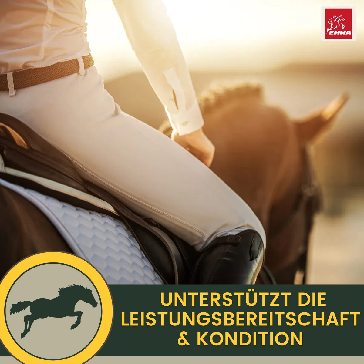 EMMA Mineralfutter Pferde Set 5kg Pellets + 1L Vitamin Liquid + Vitamin B Komplex Paste 30ml | Selen Pferd | Vitamin E D A C B12 | Magnesium | Bierhefe | Immunsystem & Muskelaufbau