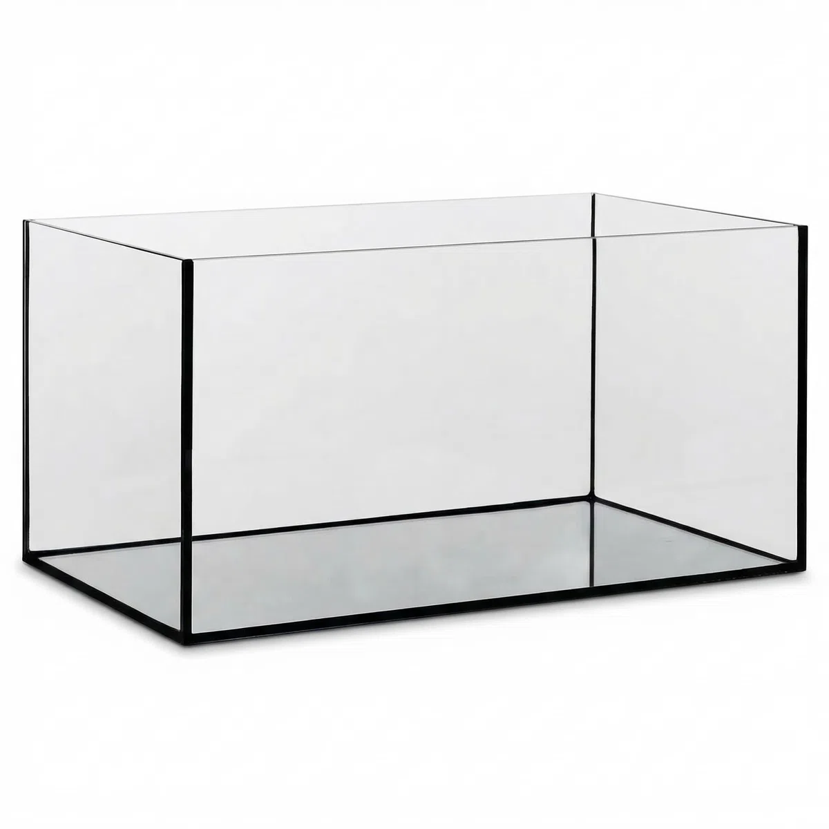 Pondlife Aquarium 60x30x30 cm Glasbecken 4 mm Floatglas geschliffene polierte Kanten Schwarze Silikonverklebung Süß- Meerwasser Terrarium