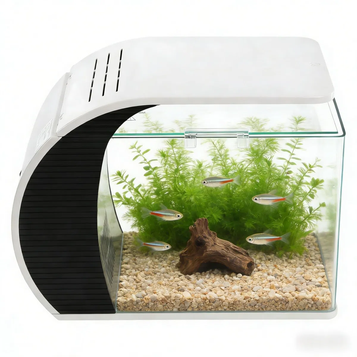 Desktop Aquarium Komplettset 19L Glas-Aquarium mit LED Beleuchtung, Filter & Pumpe, Ideal für Wohnzimmer, Büro, Schlafzimmer 42.3 x 22.6 x 31.5cm