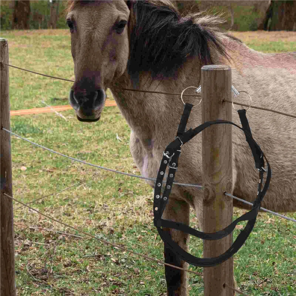 Halfter Für Pferde Nylon Black Horse Rope Tack Bitless Halfter Equitation Riding Supplies