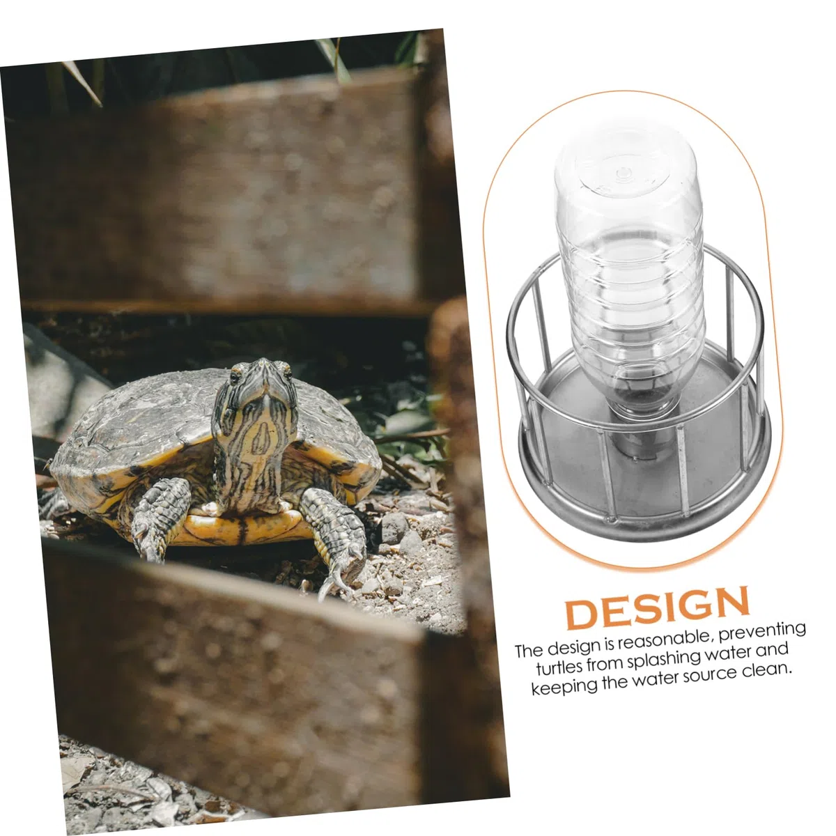 ORFOFE 5stücke Mini Wasserschale Für Schildkröten Trink Und Futterschale Für Reptilien Und Langlebig Für Kleine Landschildkröten Und Wasserbewohner Schmutzabweisendes Design