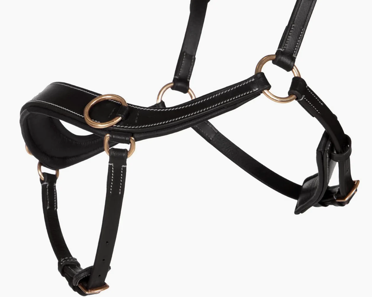 QHP Gebisslose Leder Trense Anatomical