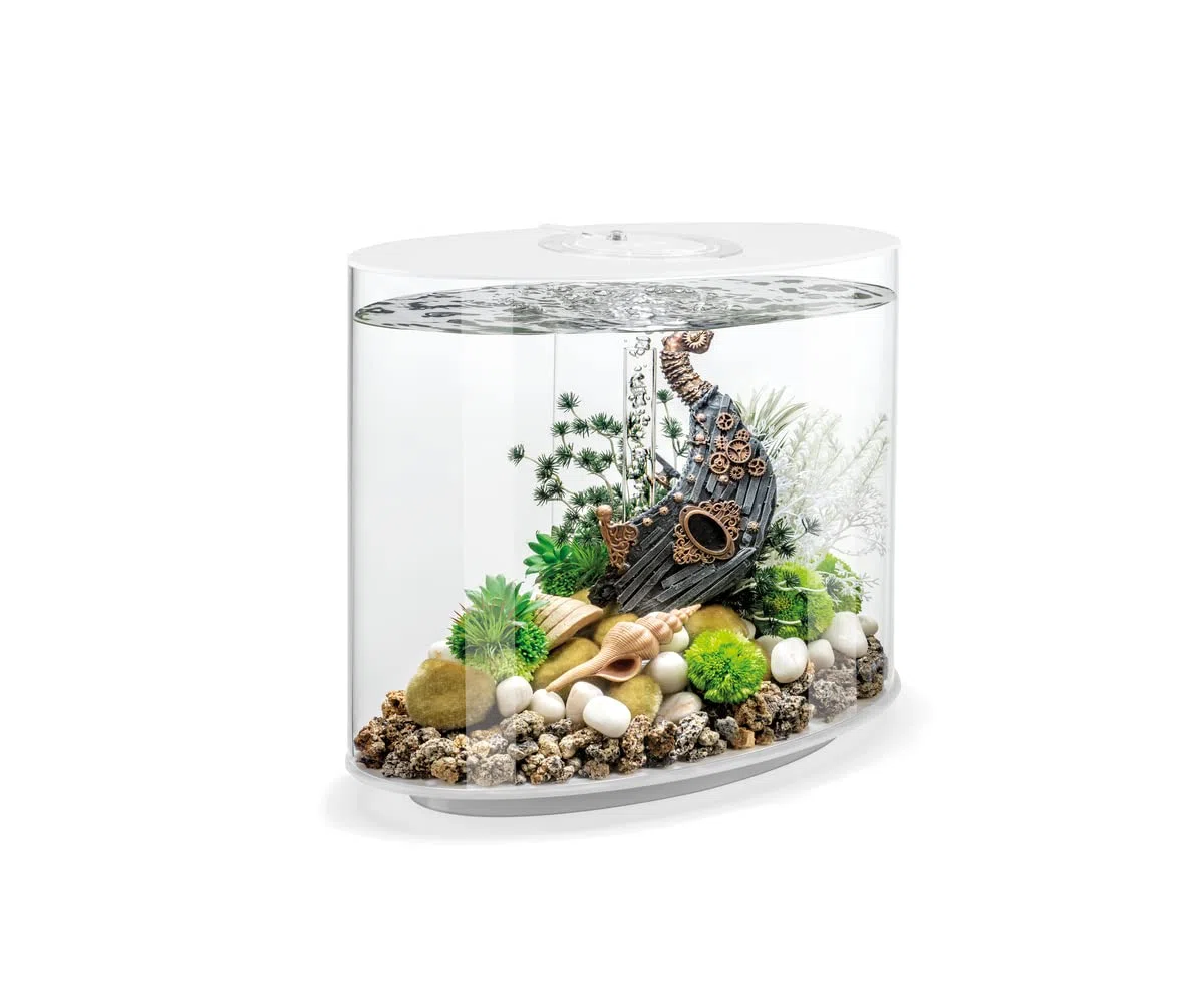 biOrb LOOP 30 LED weiß, 30 Liter - Aquarien-Komplett-Set mit patentiertem Filtersystem, Lichteinheit, Acryl-Becken in elliptischer Form