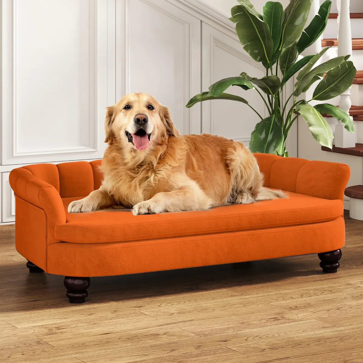 Hundesofa, bequemes Haustiersofa für große und mittelgroße Hunde, weiches Samtkissen, langlebige Hundemöbel für Wohnzimmer, waschbares Hundebett für Couch (orange)