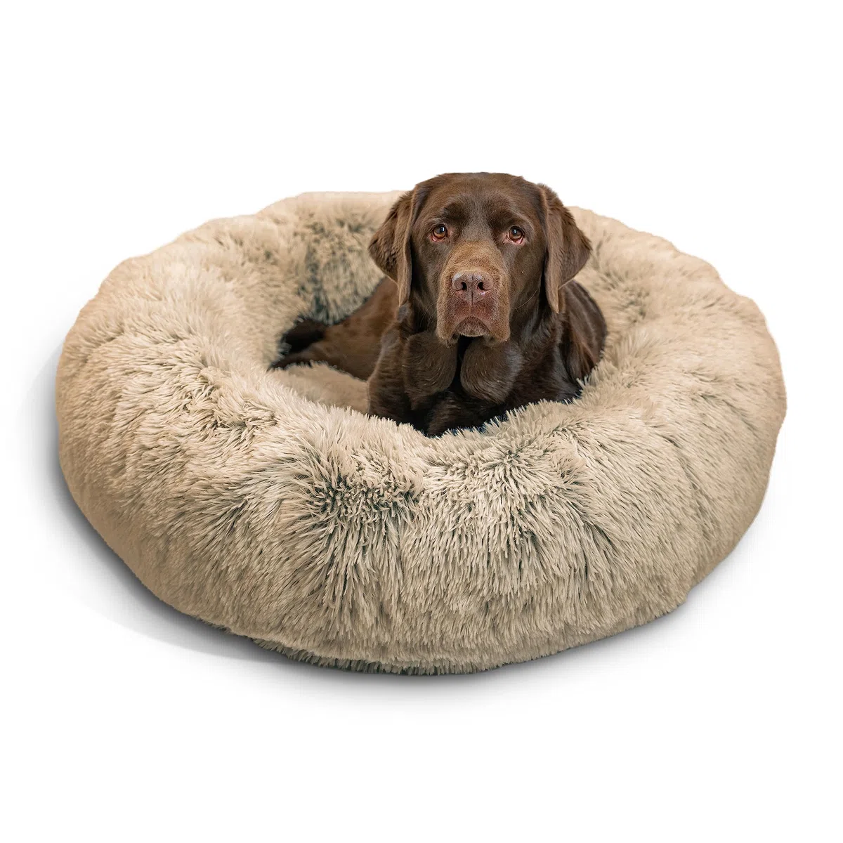 Best Friends by Sheri The Original Calming Donut - Beruhigendes Haustierbett - maschinenwaschbarer Reißverschluss-Bezug - Taupe - 91 x 91 cm - L