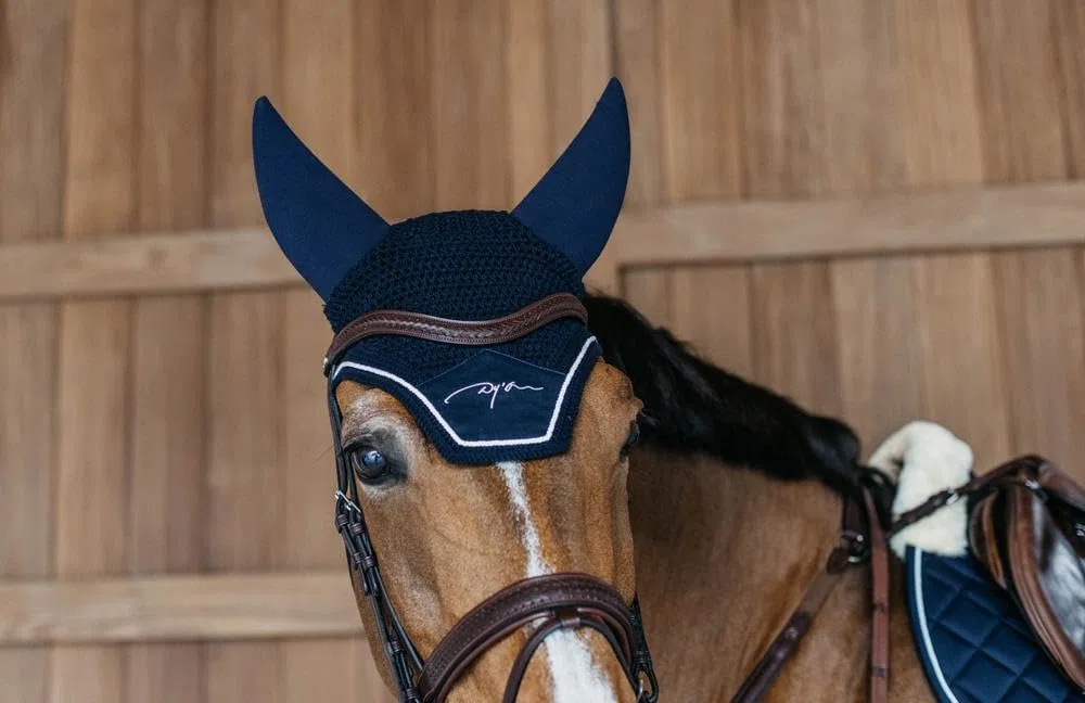 Kentucky - Diamond Fliegenhaube