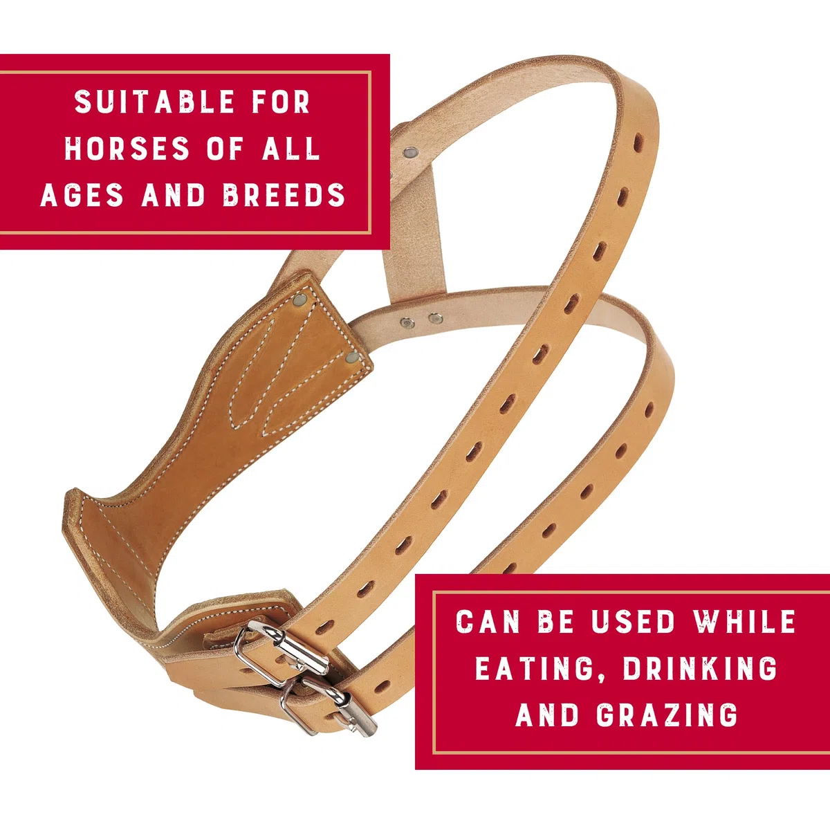 Harry's Horse 28501260-m Halfter Miracle, M