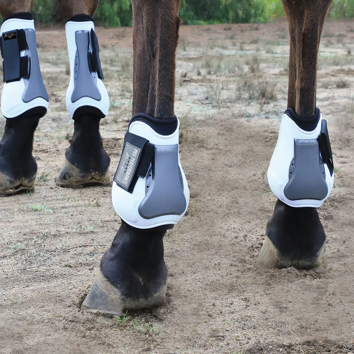 Professionals Choice Boots Horse Flexor Tendon Open Front ASRB100