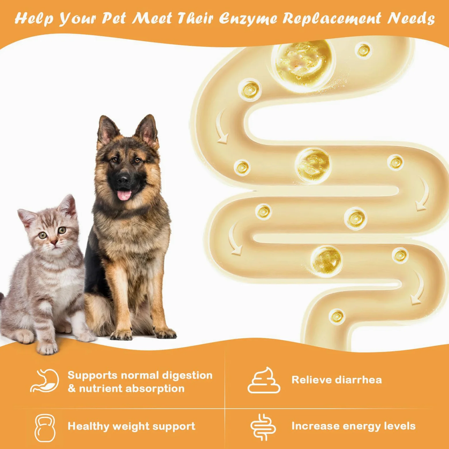 Pankretase Verdauungsenzyme, 10x Pankreatin, Pankreatin Für Hunde Und Katzen, Pankreasenzyme, Ideal Haustiere Mit EPI Pankreasenzyme