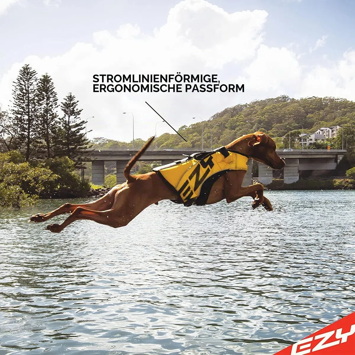 EzyDog Schwimmweste Hund – Premium Schwimmhilfe für kleine, mittlere & große Hunde – DFD X2 Boost Rettungsweste für Pool, Strand & Boot (S, Rot)