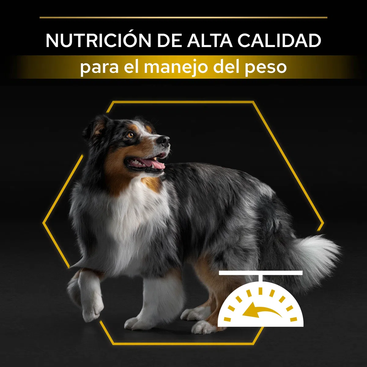Purina Pro Plan Light/Sterilized Hundefutter für Erwachsene, sterilisiert, leicht, Gewichtskontrolle mit weißem Fisch, 4 Beutel à 3 kg
