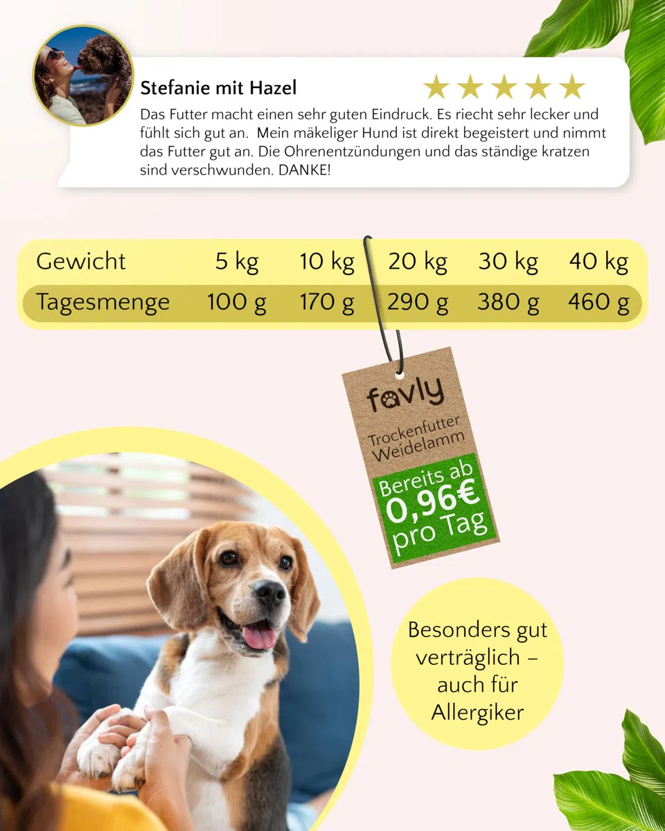 FAVLY – Weidelamm Trockenfutter für Hunde 12kg – kaltgepresst & glutenfrei – mit Rote Beete, Karotte & Hanföl – Monoprotein für Allergiker & Sensible Hunde – hoher Fleischanteil & ohne Zusätze
