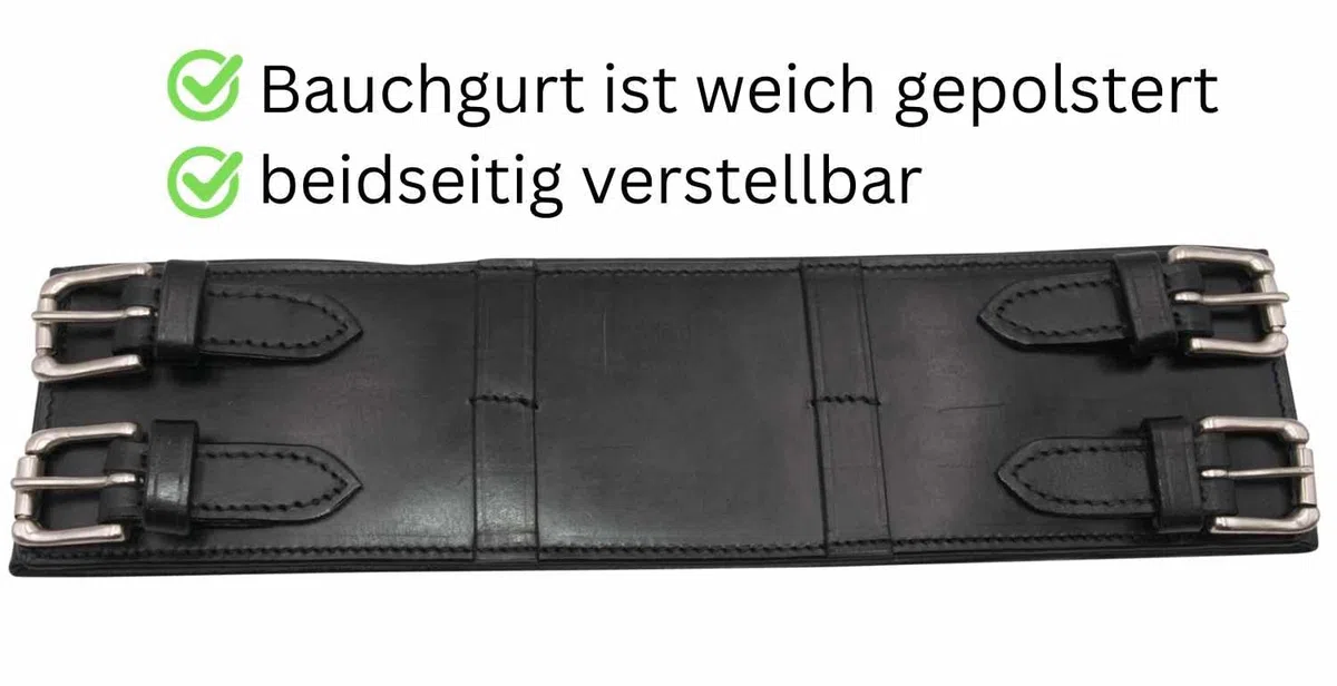 AMKA Pro Longiergurt aus Leder mit 13 Ringen auch für Doppellonge Arbeit geeignet Warmblut