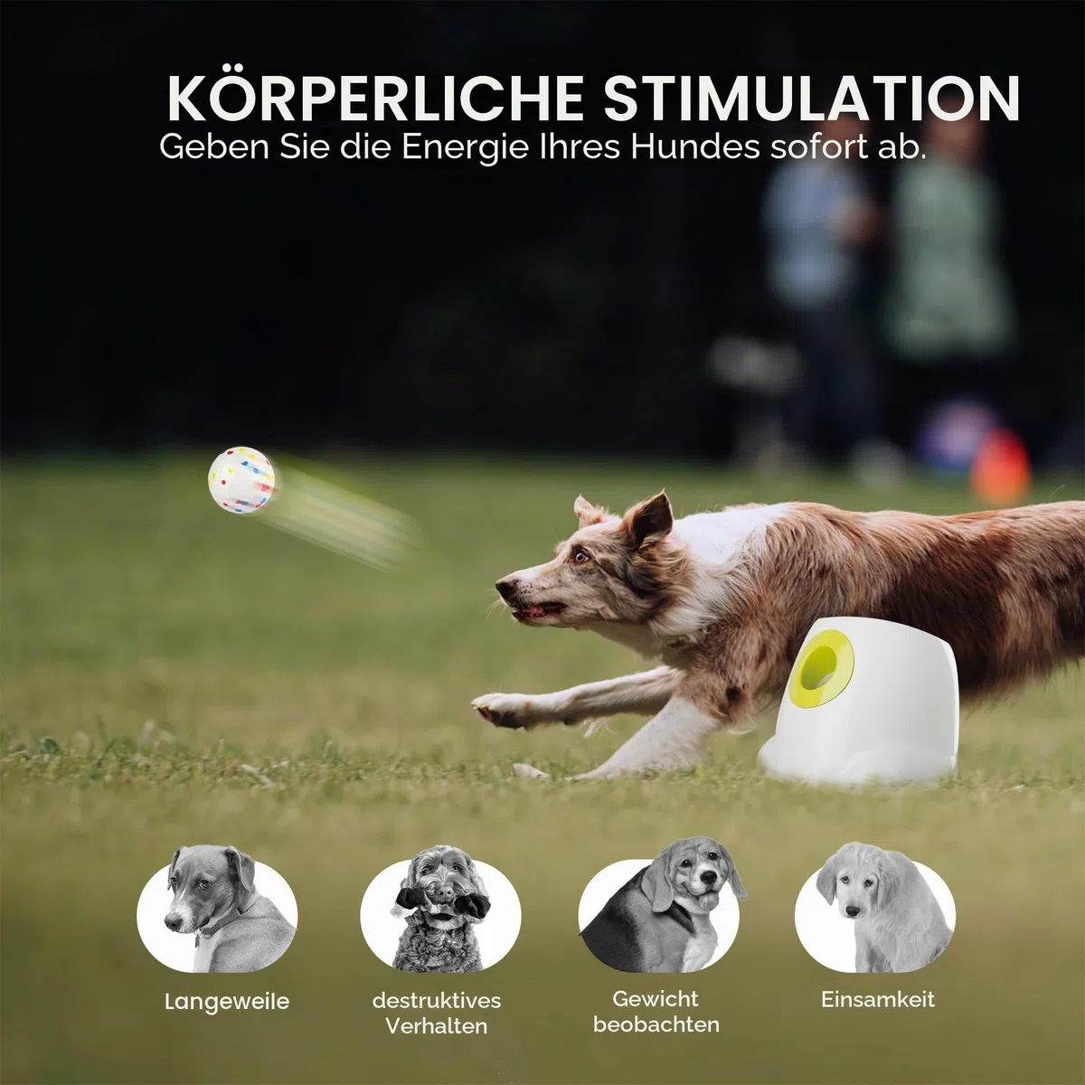 ALL FOR PAWS Automatischer Hundeballwerfer mit 6 Stück 2,5-Zoll-EPTU-Bällen, Ballwerfer für mittelgroße bis große Hunde, interaktives Apportierspielzeug für geistige und körperliche Auslastung