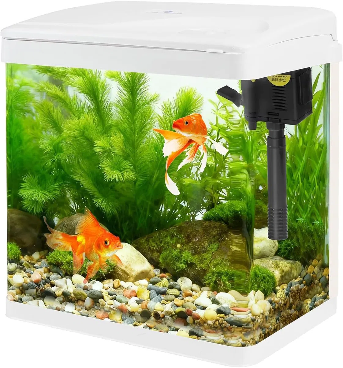 Komplettes 2 Gallonen Aquarium Starterset für kleine Aquarien mit allem, was Neue Betta Besitzer benötigen. Harmonische 5 Gallonen Betta Winkel. 3