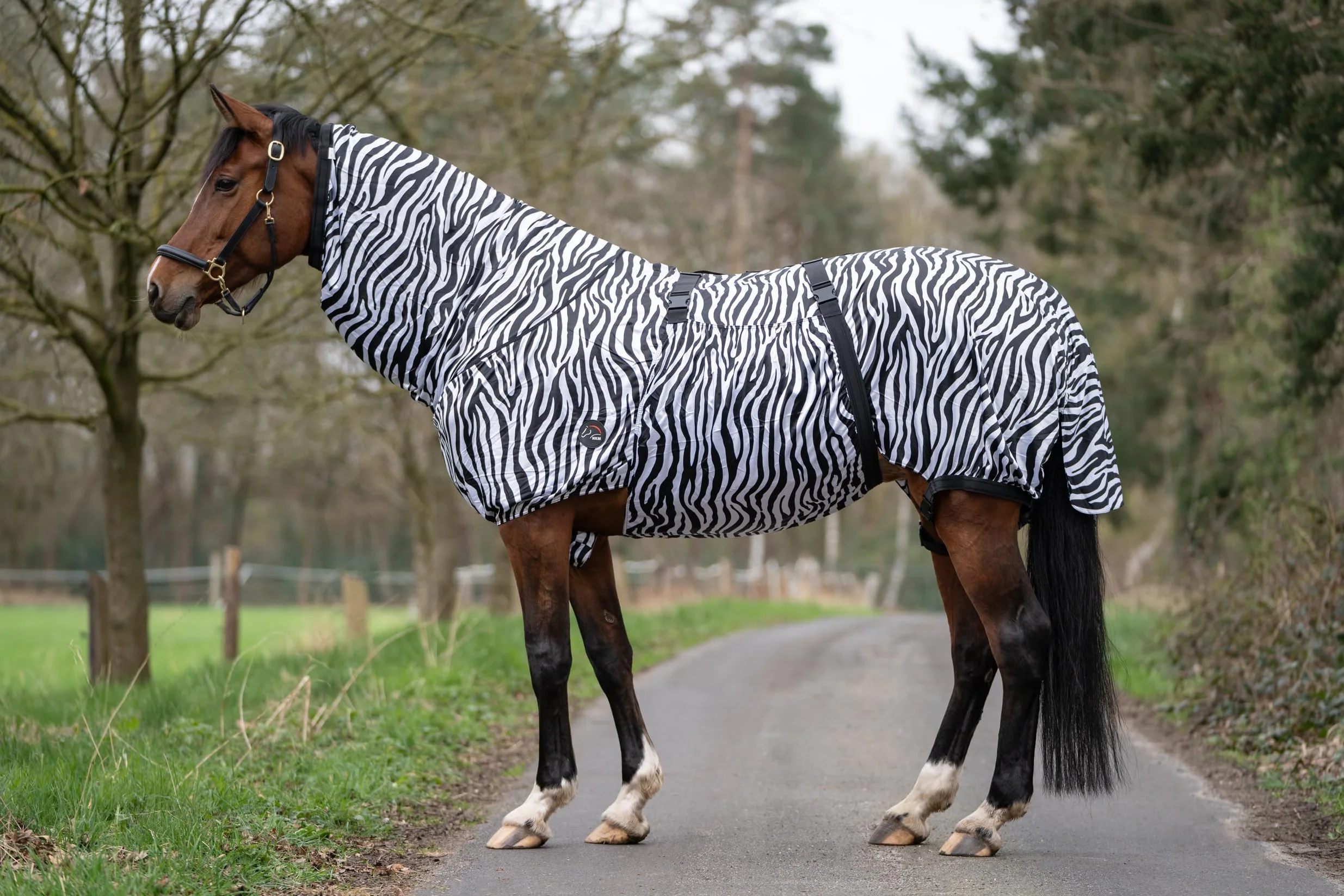HKM zebra eczema blanket for horse, 145 cm, horse fly blanket