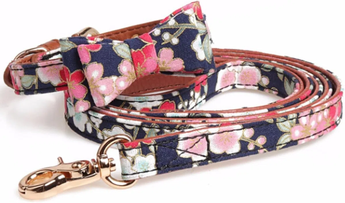 Hundehalsband, Personalisiertes Hundehalsband und Leine Set Ausgefallenes blaues mit Fliege Metallschnalle Mode-Welpenhalsbänder(M)