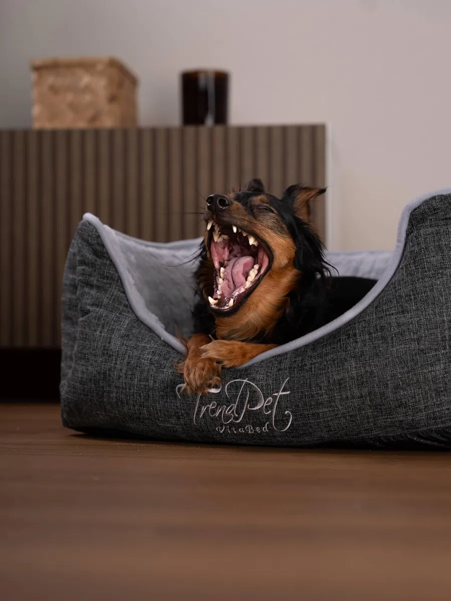 TrendPet VitaBed - Orthopädisches Hundebett mit 5cm Memofoam (60x50cm)