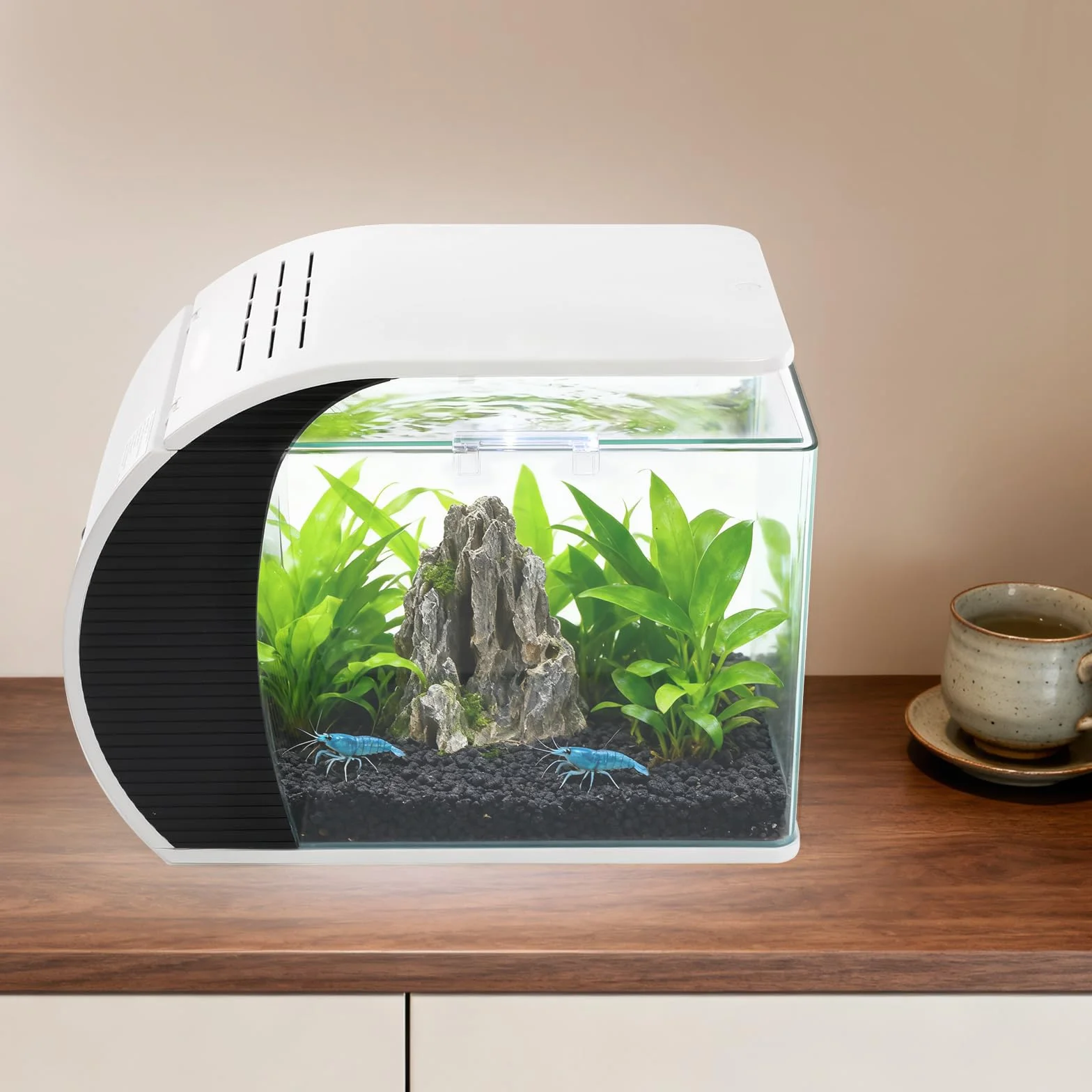 Desktop Aquarium Komplettset 19L Glas-Aquarium mit LED Beleuchtung, Filter & Pumpe, Ideal für Wohnzimmer, Büro, Schlafzimmer 42.3 x 22.6 x 31.5cm