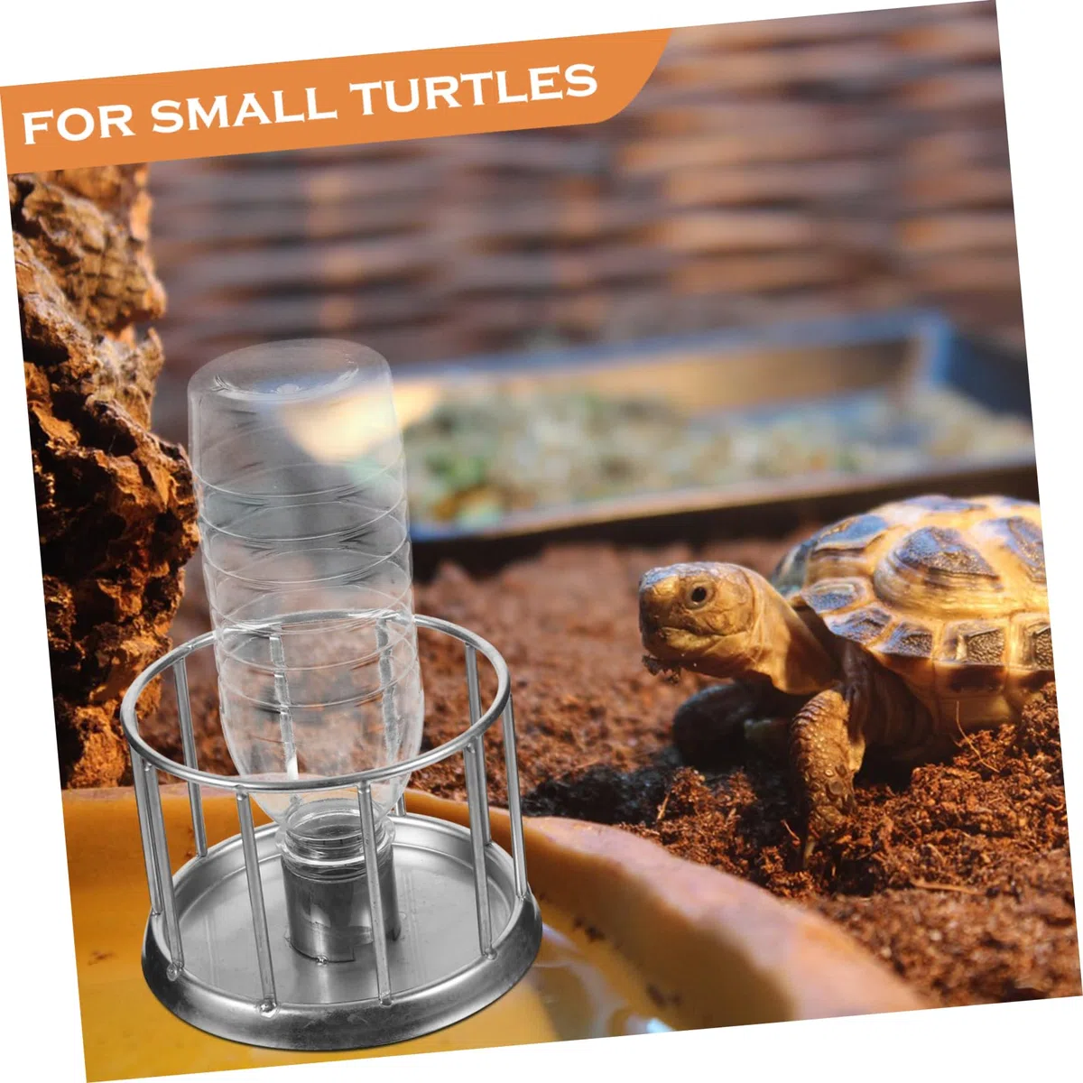 Yardwe 5stücke Reptilien Wasserbecken Mini Trinkschale Für Schildkröten Und Andere Kriechtiere Langlebig Multifunktional Für Futter Und Wasser