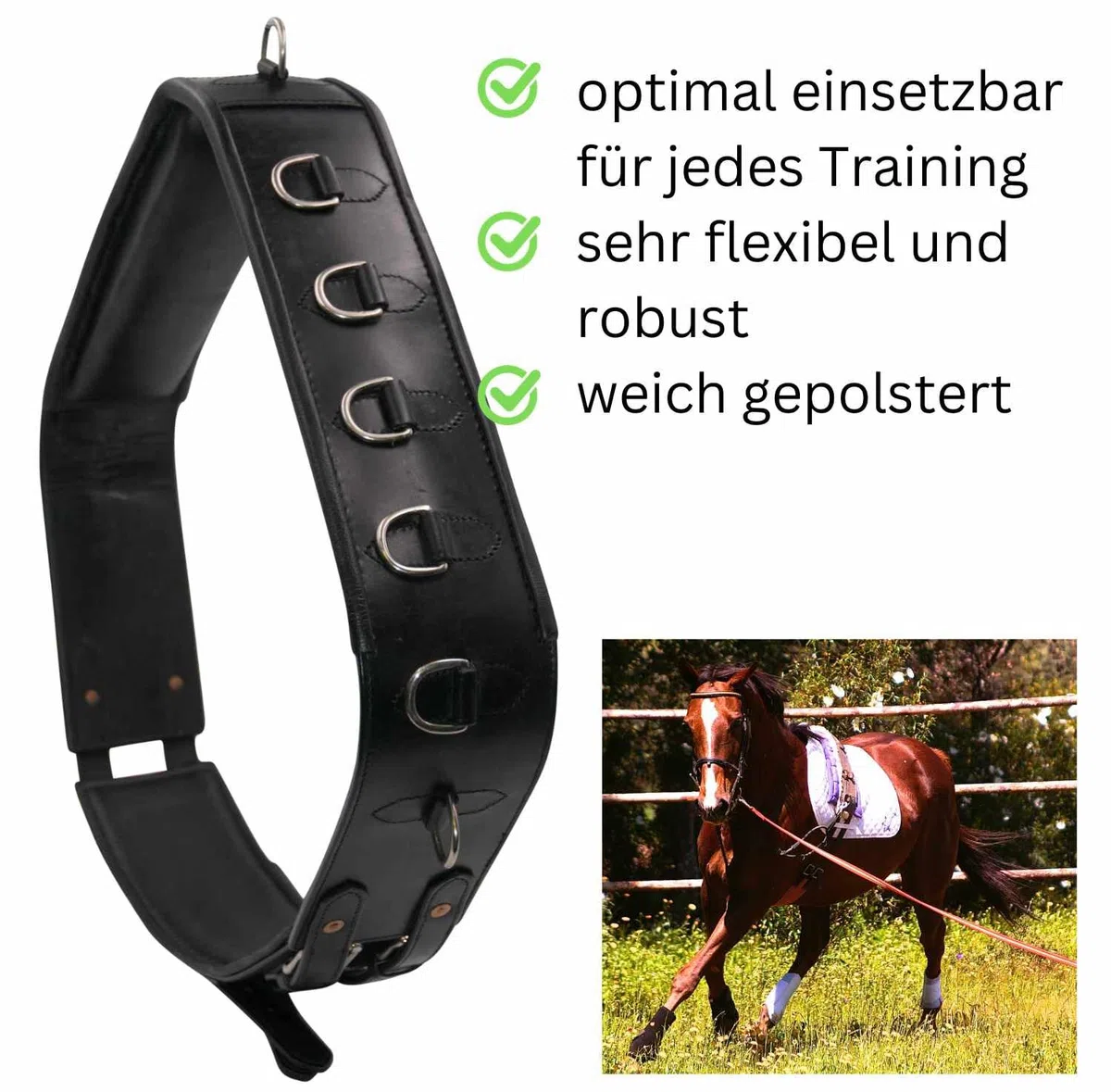 AMKA Pro Longiergurt aus Leder mit 13 Ringen auch für Doppellonge Arbeit geeignet Warmblut